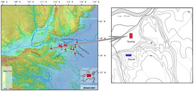 The Agriculture and Society in the Yiluo River Basin: Archaeobotanical Evidence From the Suyang Site